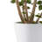 Tali Concrete/Fiberglass Round Planter-144443416
