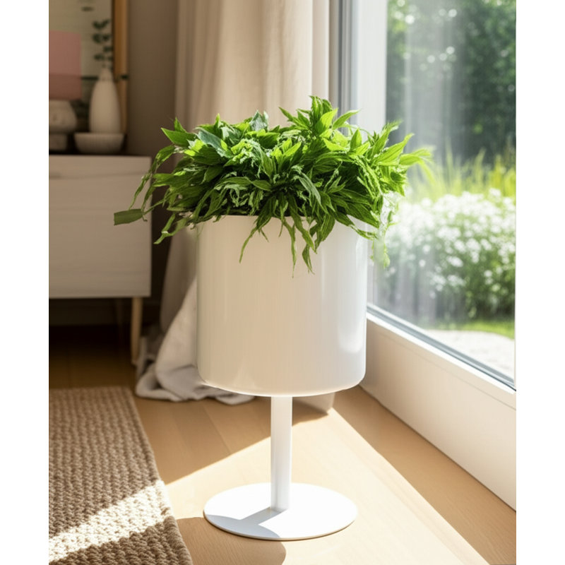 Wanderer Metal Planter on Base - Contemporary Round Iron Planter on Flat Round Base in Classic White - Indoor or Outdoor Decor