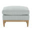 Leo Ottoman
