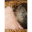 Aizley Square Throw Cushion-85516462