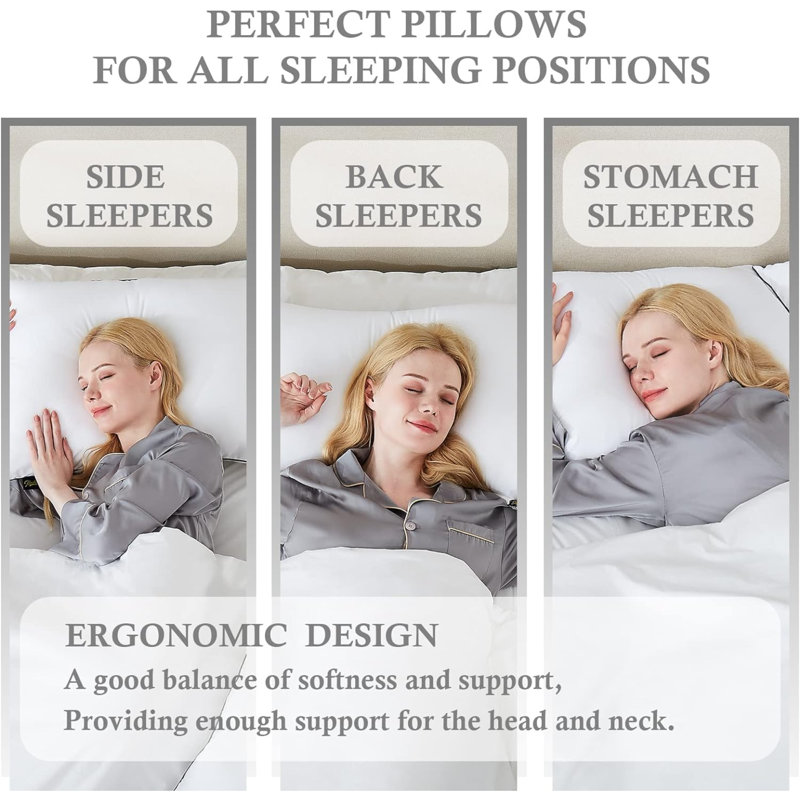 Coussin Joshuwa, 20 po x 36 po
