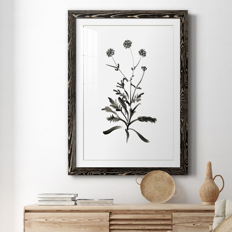 Inky Botanical I - peinture encadrée, H 37,5 po x l 27,5 po x P 1,5 po, Cadre noir