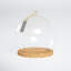 Stellan Glass Cloche