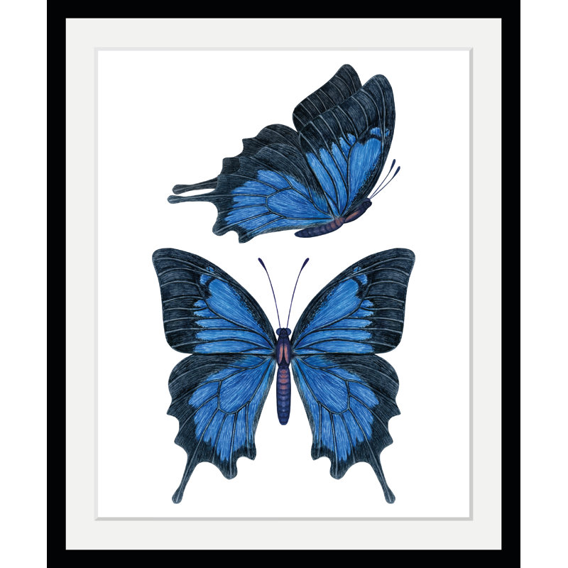 Butterfly - Single Picture Frame Print
