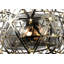 2 - Light Unique/Statement Chandelier