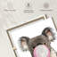 Impression sur toile Bubble Gum Koala Bear-271540662