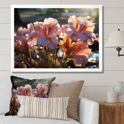 Pink Irises Field III