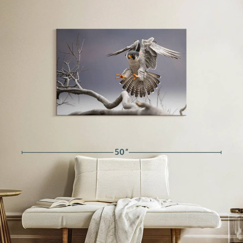 Peregrine Falcon, 26" H x 39" W