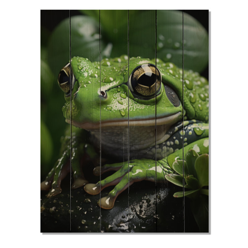 Portrait de grenouille verte sur bois, H 32 po x l 24 po x P 0,78 po