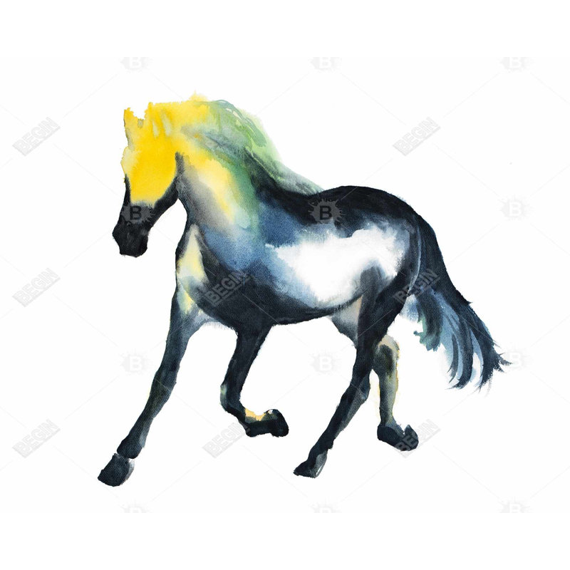 Galloping Horse Print On Canvas