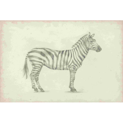 " Zebra Sketch " by Ethan Harper Painting Print
