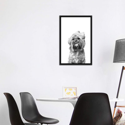 «Wet Dog, Joey, Black and White» par Sophie Gamand - reproduction de photo