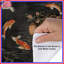 Housses de couette Cranes and Koi Fish-129134827