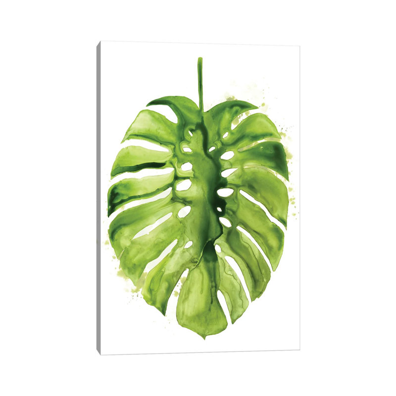 Monstera I 1 Piece Wrapped Canvas Painting, 20.32 cm H x 30.48 cm W