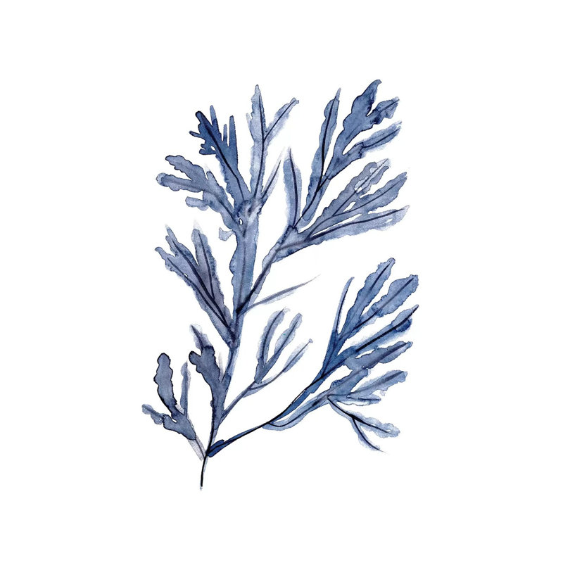 Seaweed Under Water I by Melissa Wang - Wrapped Canvas Gallery-Wrapped Canvas Giclée, 30.48cm H x 20.32cm W x 1.9cm D