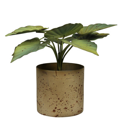 Pot avec feuilles vertes, aluminium