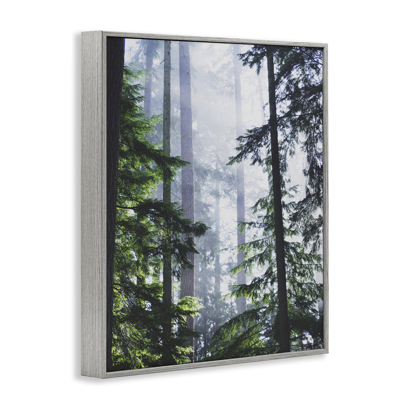 «Foggy Forest View», art de la giclée encadrée par Gail Peck, Estampe numérique Farmhouse, H 14 po x l 11 po