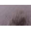 Shag Area Rug-69537195