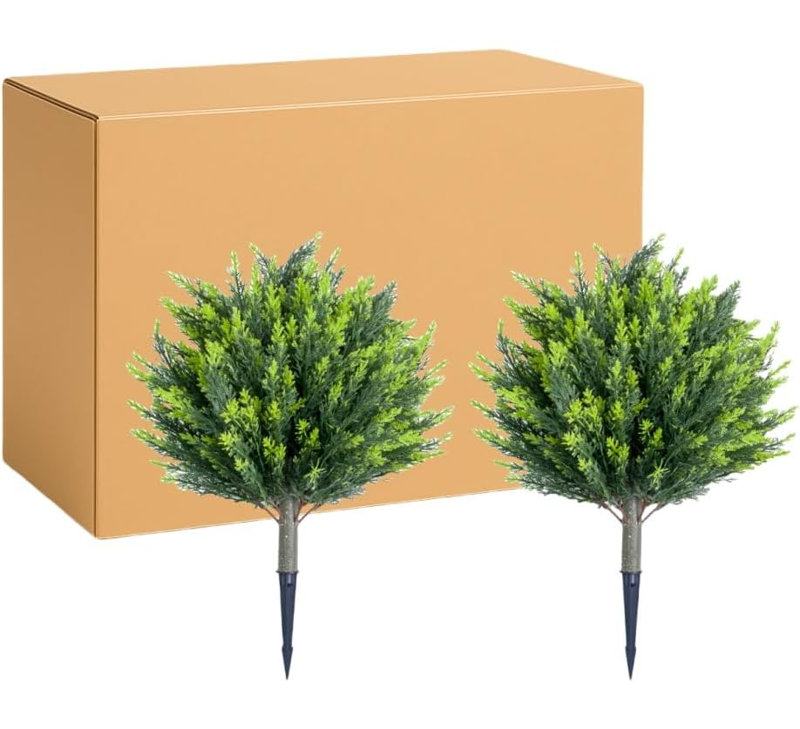 Plant, 2, 65cm H x 45cm W x 45cm D