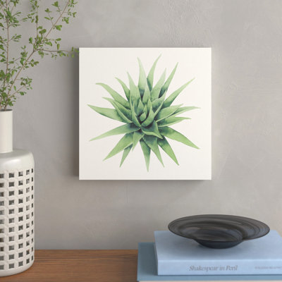 Tropical Plant III by Grace Popp - Wrapped Canvas Print