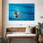 Sireci Synchronized Swimmers-108126908