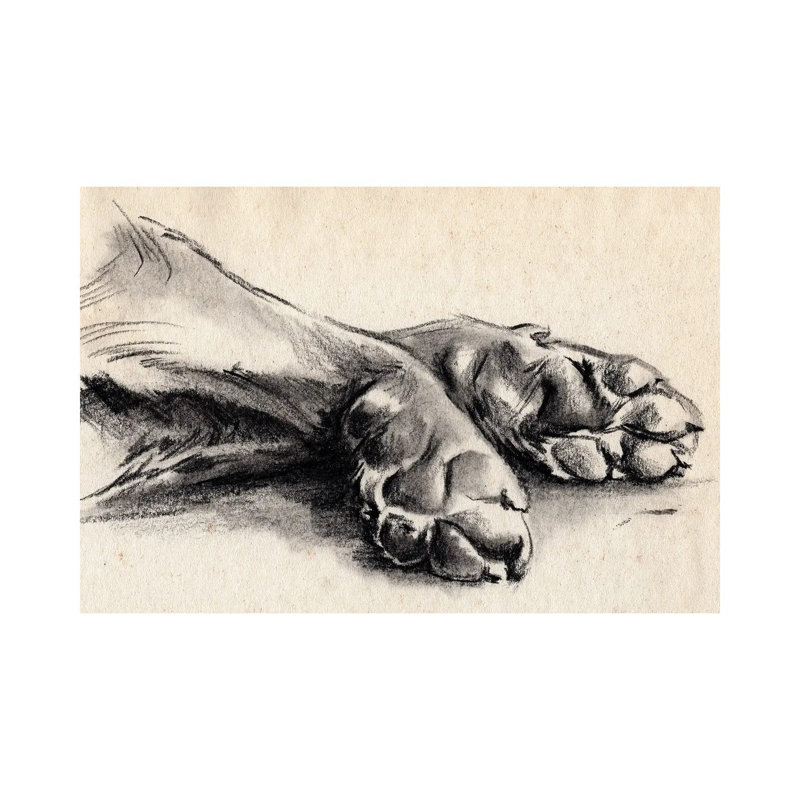 Charcoal Paws II - impression sur toile tendue, H 18 po x l 26 po x P 1,5 po