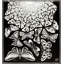 «Butterflies» par M.C.Escher, toile tendue avec châssis-365194079