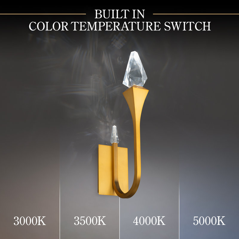 Bergy 2 - Light LED Armed Sconce