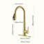 Robinet de cuisine HOOSENG-97209513