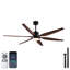 Ventilateur de plafond extérieur rustique d'intérieur 54 po avec lumière, 6 pales en ABS, télécommande, finition noir mat, 3 CCT à intensité variable, moteur à courant continu, tiges de 5 po et 10 po pour le salon de la chambre à coucher