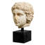 Bust of a Youth Marble