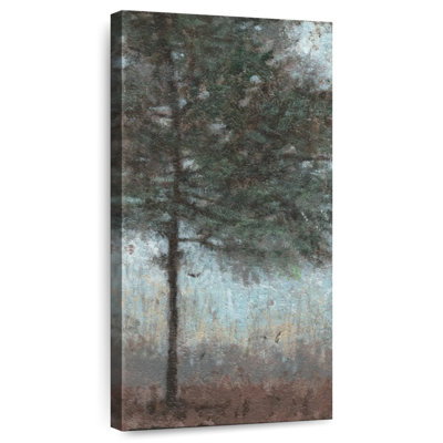 Noble Evergreen