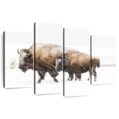 Bison In Yellowstone National Park
