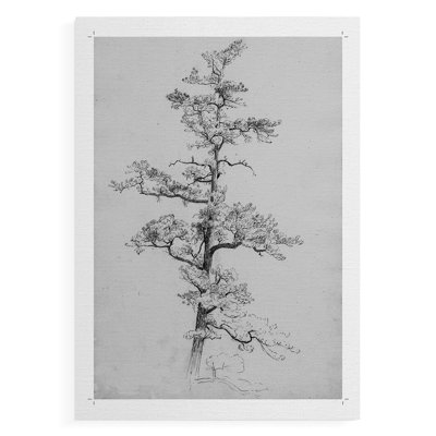 Vintage Floral Print CCCXV -Canvas Print Only - NOT FRAMED