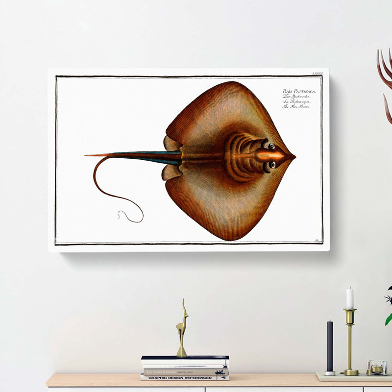 Stingray by M.E. Bloch - Wrapped Canvas, 50cm H x 76cm W x 3cm D