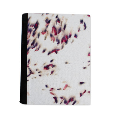 Journal en papier Novica