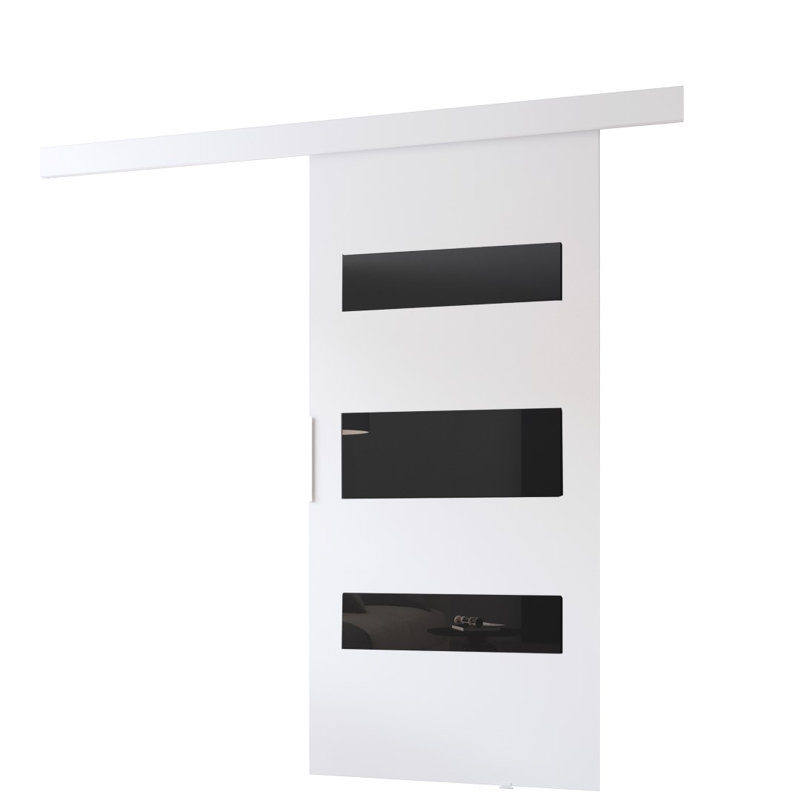 Lize Sliding Door White and Black, 205cm H x 76cm W x 1.6cm D, White/Back
