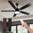 Ceiling Fan with LED Lights-337638972