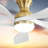 Eslettes 52'' Ceiling Fan with LED Lights-1599723269