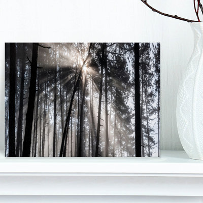 «Sunbeam Through Black White Forest», photographie