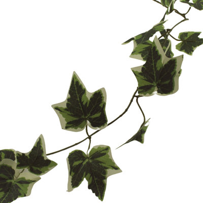 180cm Plant