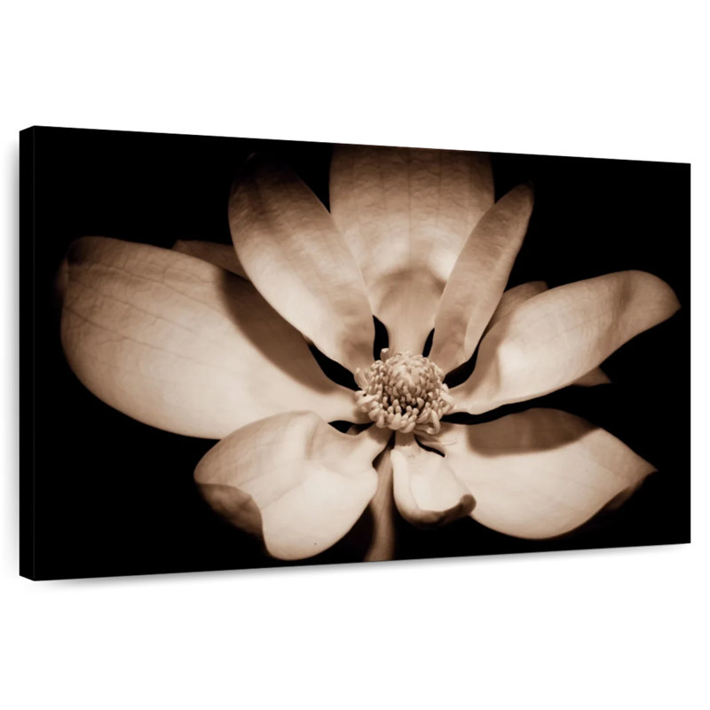 Magnolia éveillant Harnek, H 30 po x l 45 po