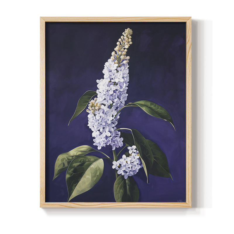 Reproduction encadrée FLORAL Series CCxxviii - bois massif, H 15 po x l 12 po
