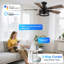 42 po Ventilateurs en cage Smart Farmhouse avec kit d'éclairage à DEL pour l'intérieur et l'extérieur, commande silencieuse par télécommande, Alexa, Google, voix, Wi-Fi, application
