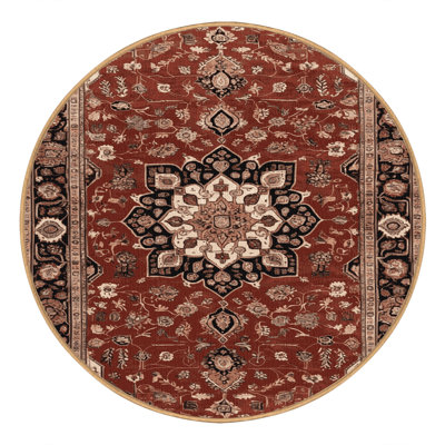 Machine Washable Persian Brown Area Rug
