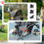 Foldable Pet Stroller