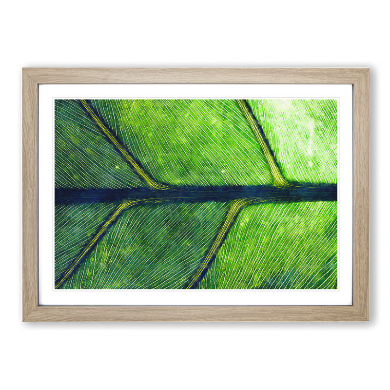 Leaf Detail - Picture Frame Painting, 48cm H x 65cm W x 2cm D, Oak Framed