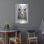 «Festival Bear» par Balazs Solti-1374669346
