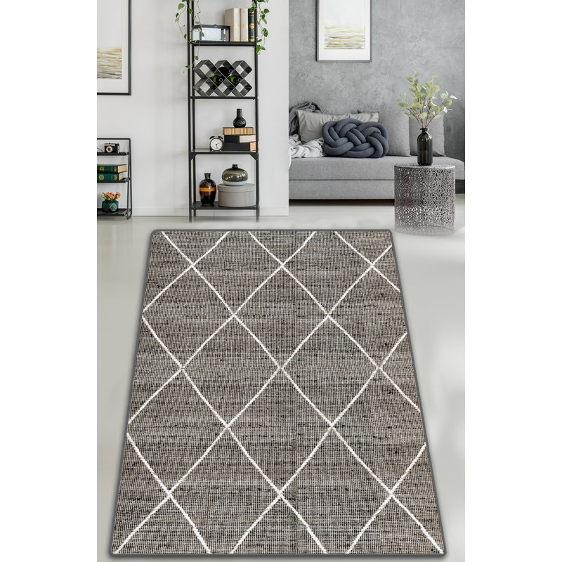 Antibacterial Hall Carpet, 100% Polyester, 31.5 x 59.1 inches | 10 mm Pile Height, 700 g/m² | Non-Slip Underside, Machine Washable, Easy Care | Perfect for Entryways & Living Spaces, Stylish & Functional Design