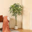 Adcock Artificial Ficus Tree with Round White Planter, Pre Potted Faux Money Tree for Home Decor-298643296